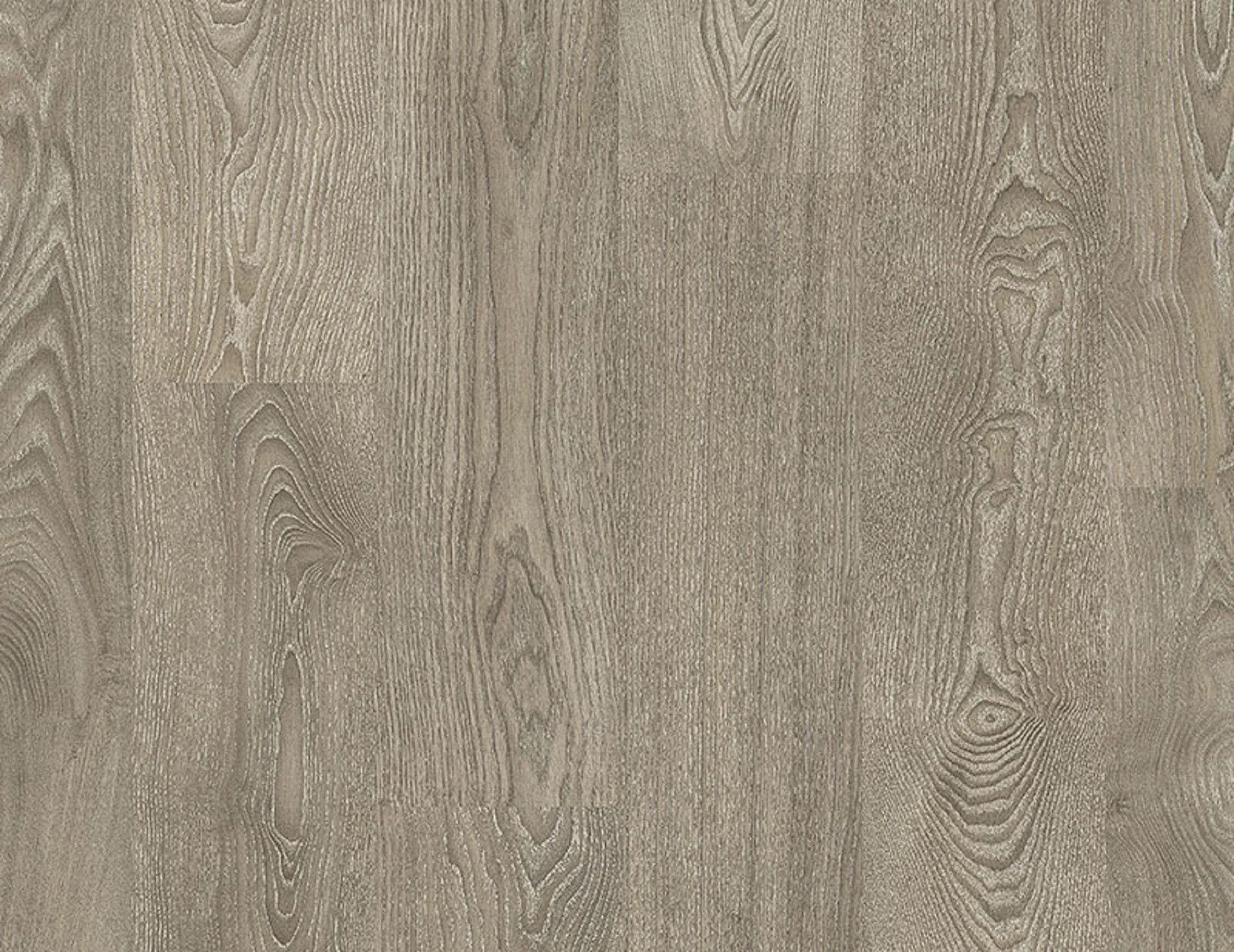 img_14431_2e7e43d8-1.webp LAMINATE VIT. ORIGINAL - 385 SILVER ASH - Image 1