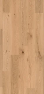 ΠΡΟΓ/ΜΕΝΟ 61001581 1strip – CHENE NATUREL 01 XL
