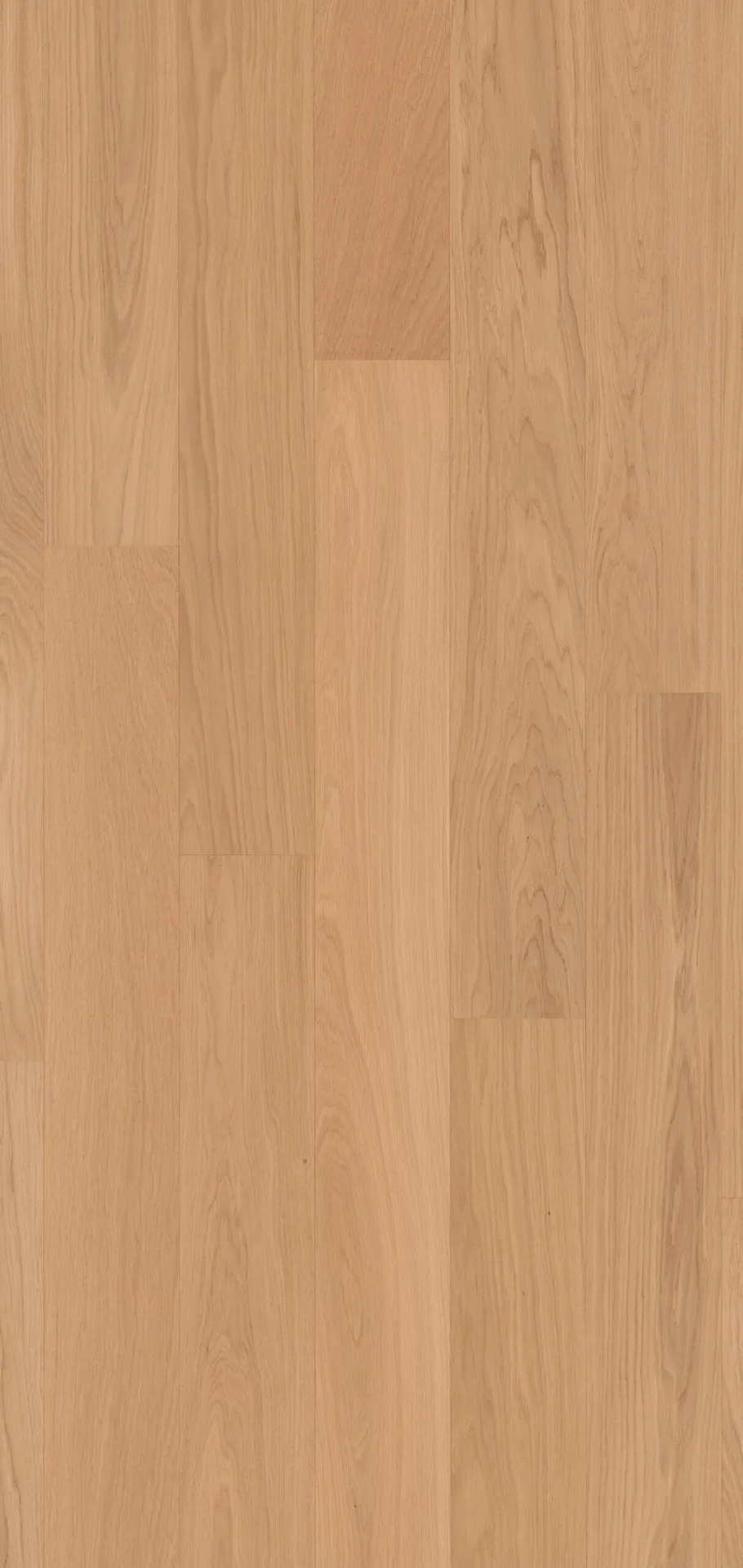img_21352_291fd23c.webp ΠΡΟΓ/ΜΕΝΟ 61001637 1strip – CHENE PURE XL - Image 1